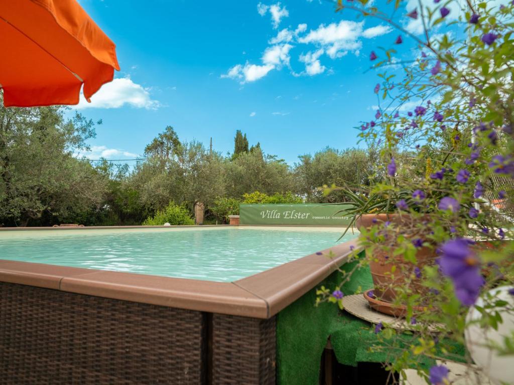 The swimming pool at or close to Apartment Villa Elster-1 by Interhome
