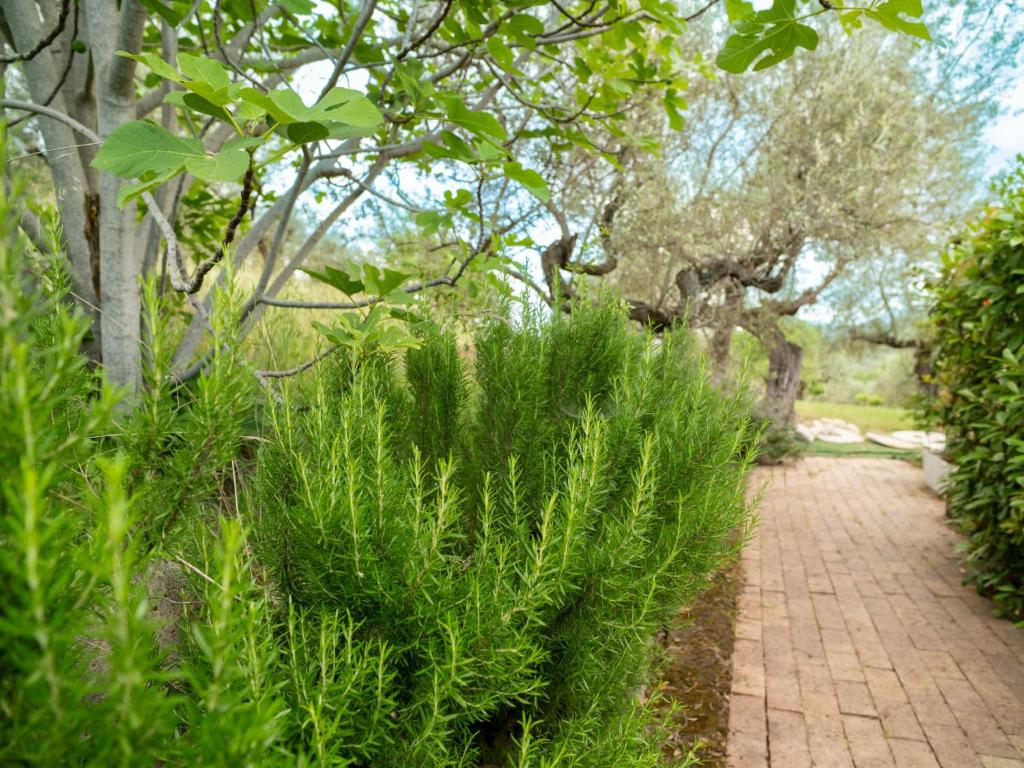 A garden outside Apartment Villa Elster-1 by Interhome