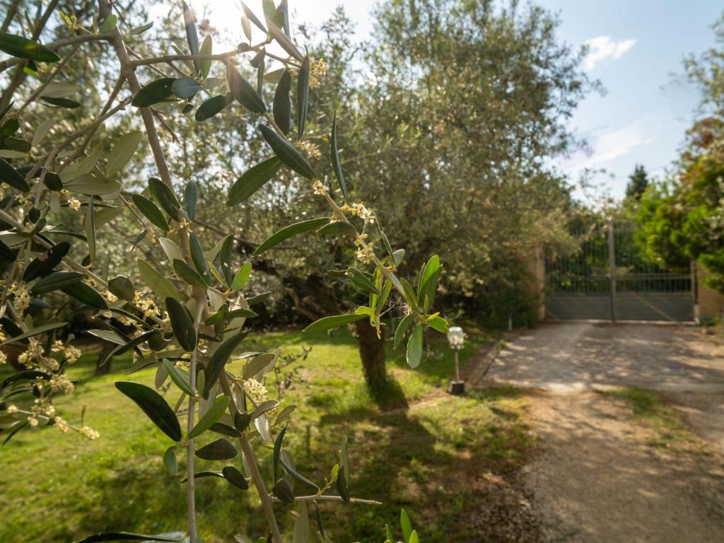 A garden outside Apartment Villa Elster-1 by Interhome