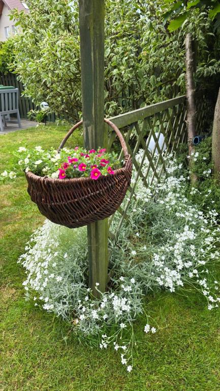 a basket of flowers on a pole in the grass at Willa Sonia in Władysławowo