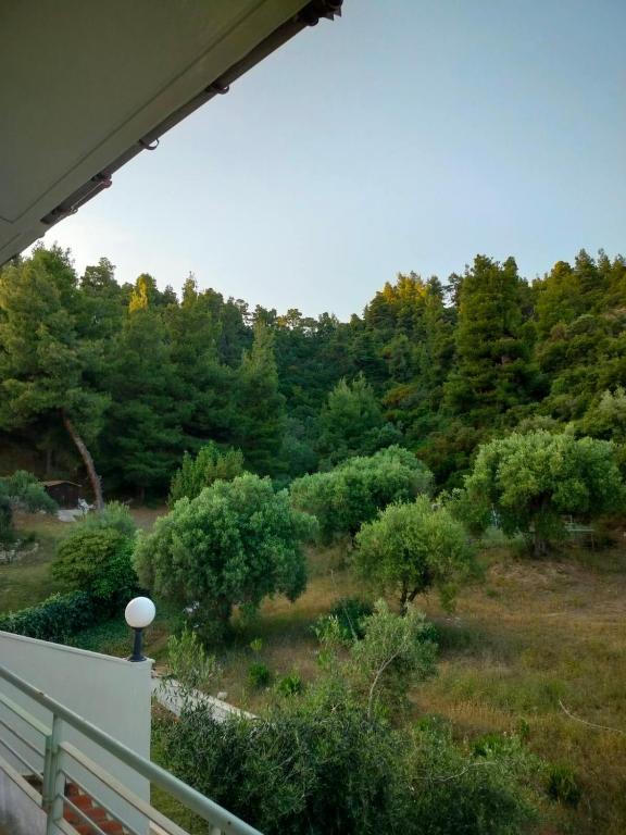 Aed väljaspool majutusasutust Dionysus View