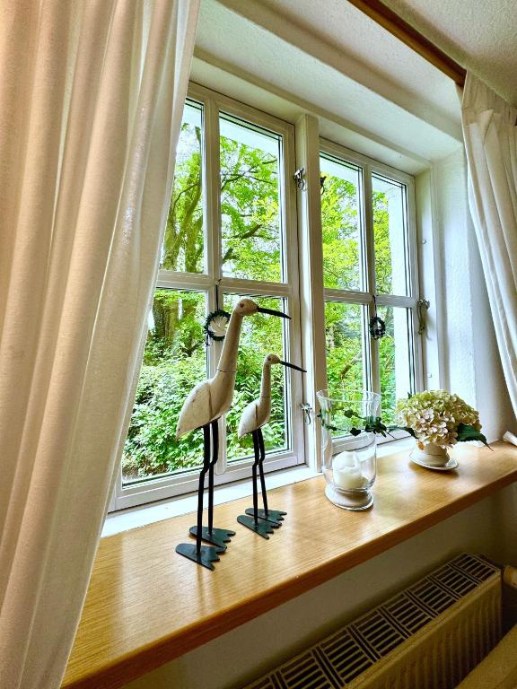 Fotografie z fotogalerie ubytování Simon v destinaci Eckernförde