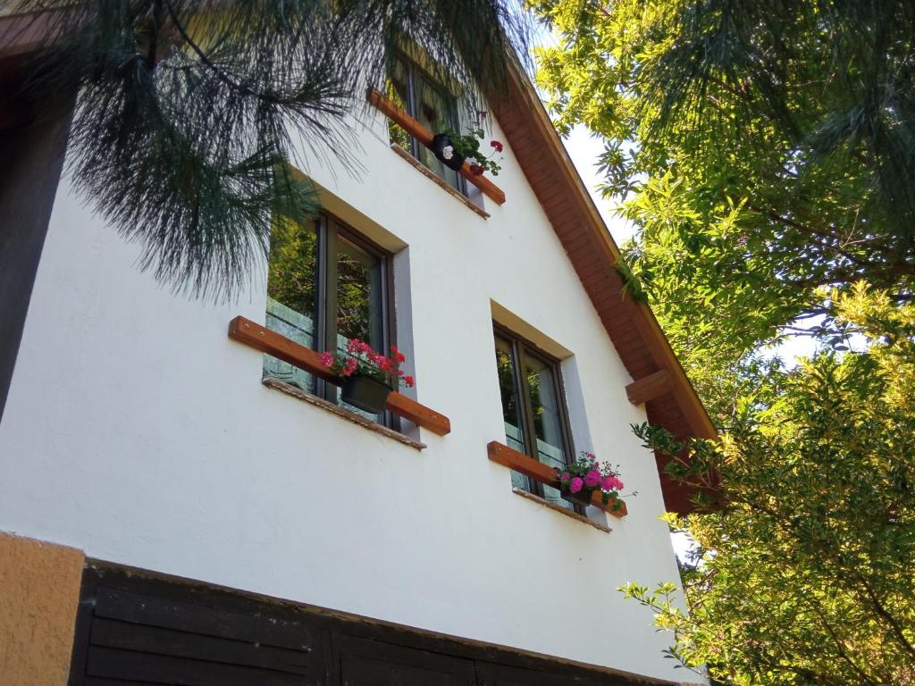 twee ramen aan de zijkant van een huis met bloemen bij Pele vendégház in Velem