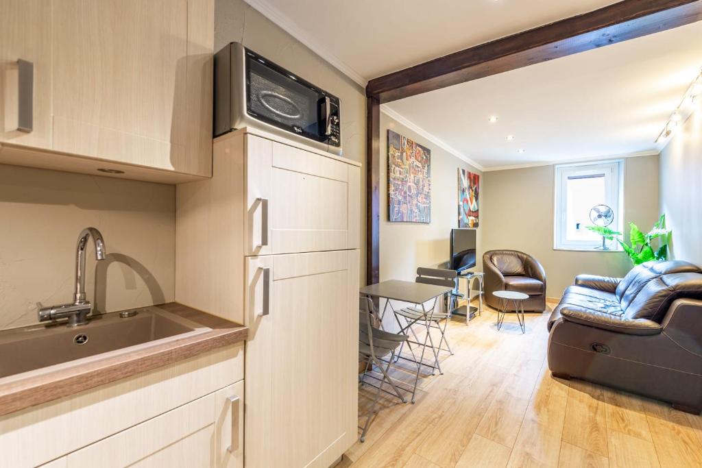 - une cuisine et un salon dans une petite maison dans l'établissement T2 coeur de vieille ville, à Annecy