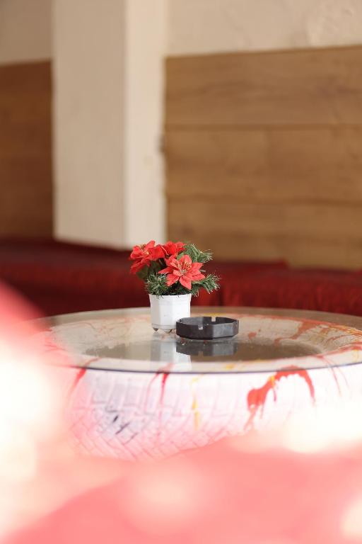 Fotografie z fotogalerie ubytování Hostel Osho v destinaci Tirana