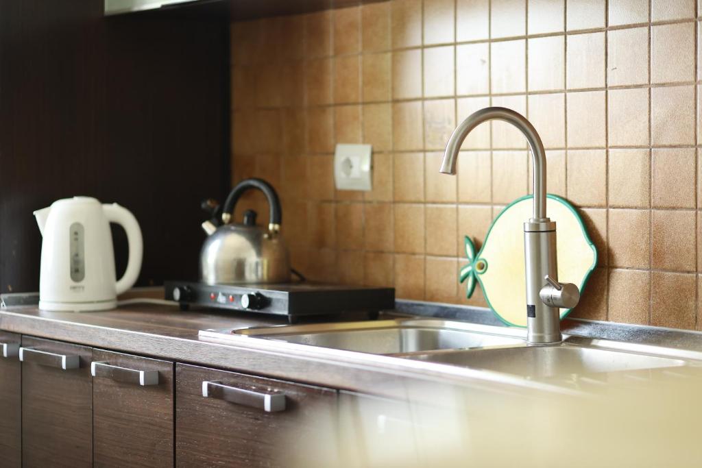 Kuchyň nebo kuchyňský kout v ubytování Hostel Osho