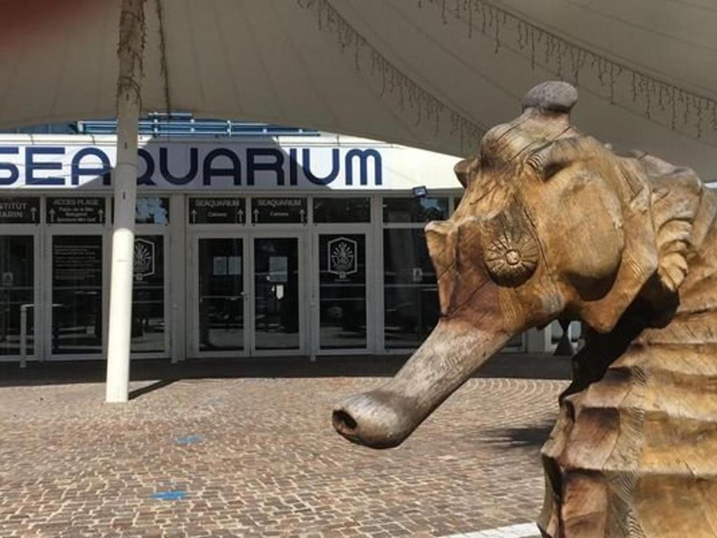 une statue d'un éléphant avec une batte de baseball dans l'établissement Appartement 2P avec terrasse, garage, 250m plage, 4 pers, WiFi optionnel - FR-1-307-165, au Grau-du-Roi