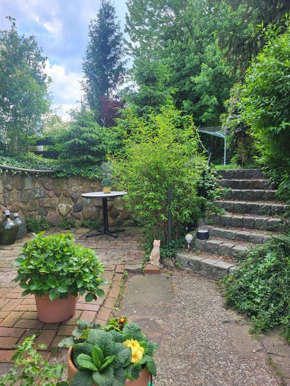 a patio with a table and some plants and stairs at Ferienwohnung am Allerbogen in Neu Wietze