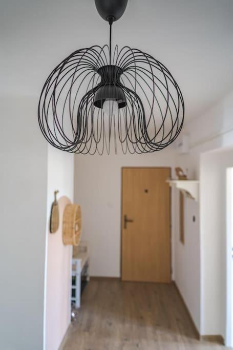 Fotografie z fotogalerie ubytování Velký apartmán V Pralese Šumava v Lenoře