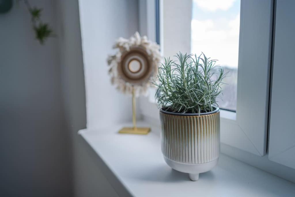Fotografie z fotogalerie ubytování Velký apartmán V Pralese Šumava v Lenoře