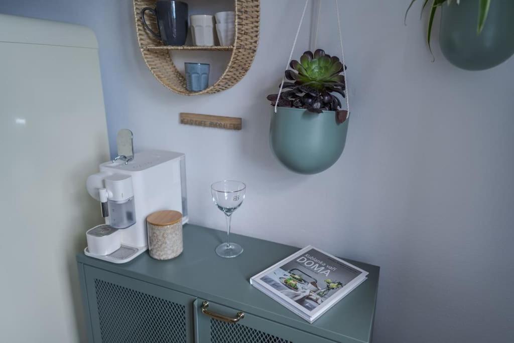 Fotografie z fotogalerie ubytování Velký apartmán V Pralese Šumava v Lenoře