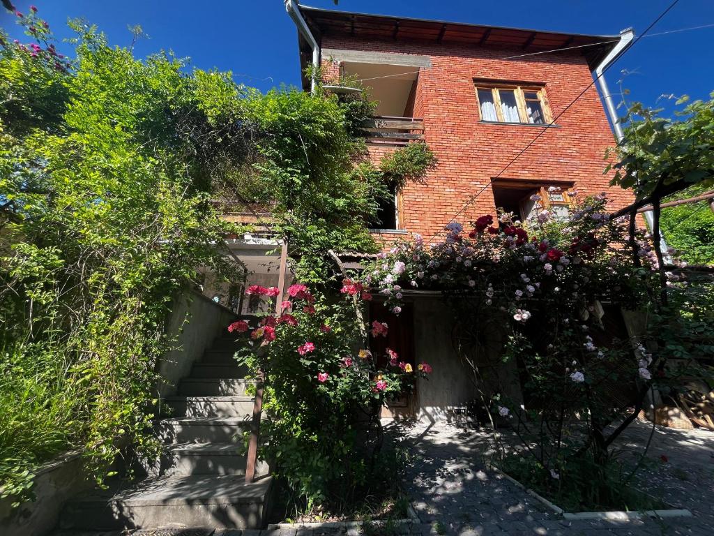 Κήπος έξω από το Wine House KNIAZ