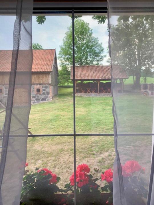 Zahrada ubytování Willa Pod Dębem