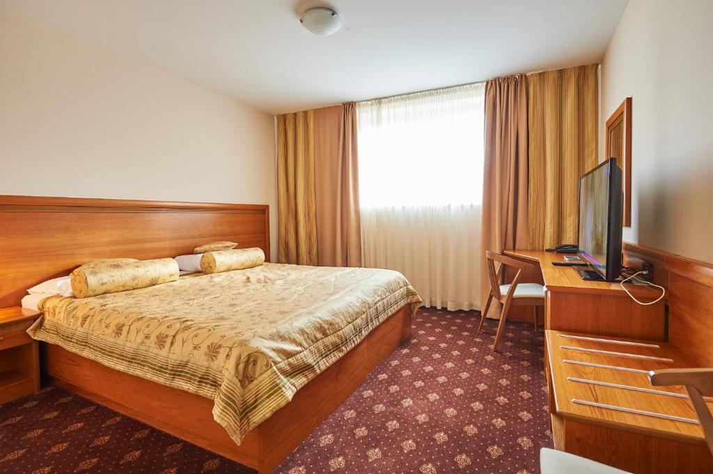 TV a/nebo společenská místnost v ubytování Hotel Korosica