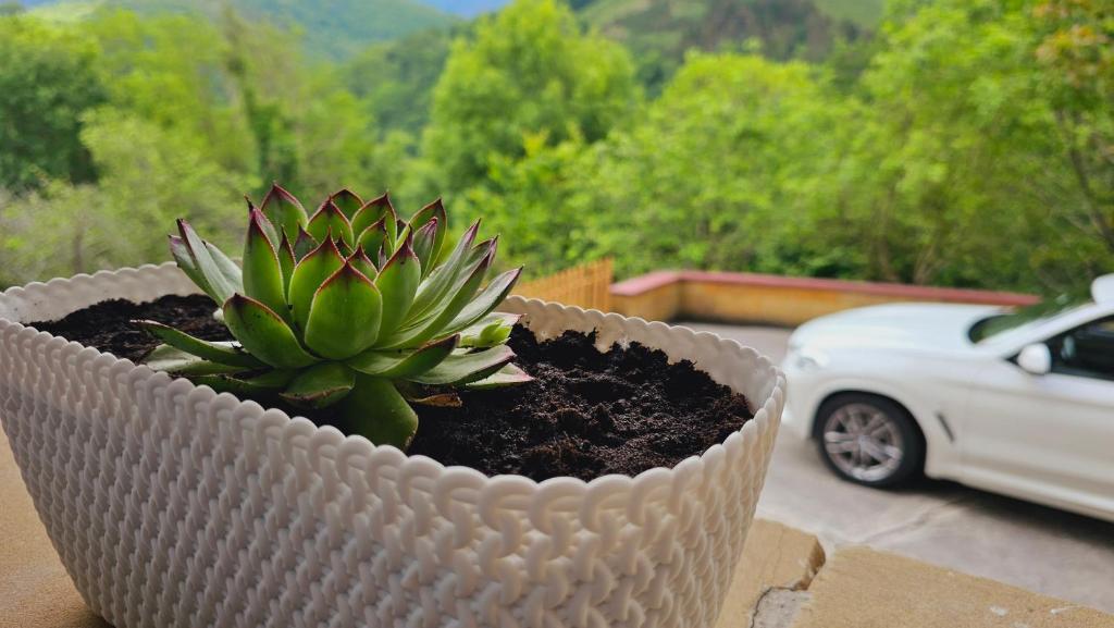 Zahrada ubytování Casa Rural Simonan Borda