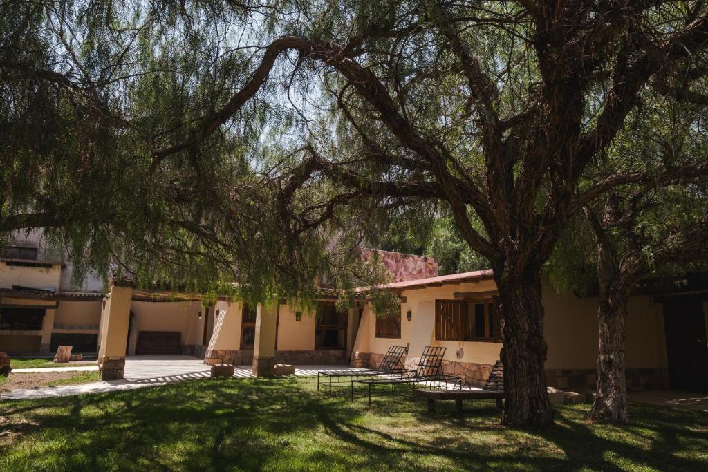 Zahrada ubytování Aguaribay Tilcara