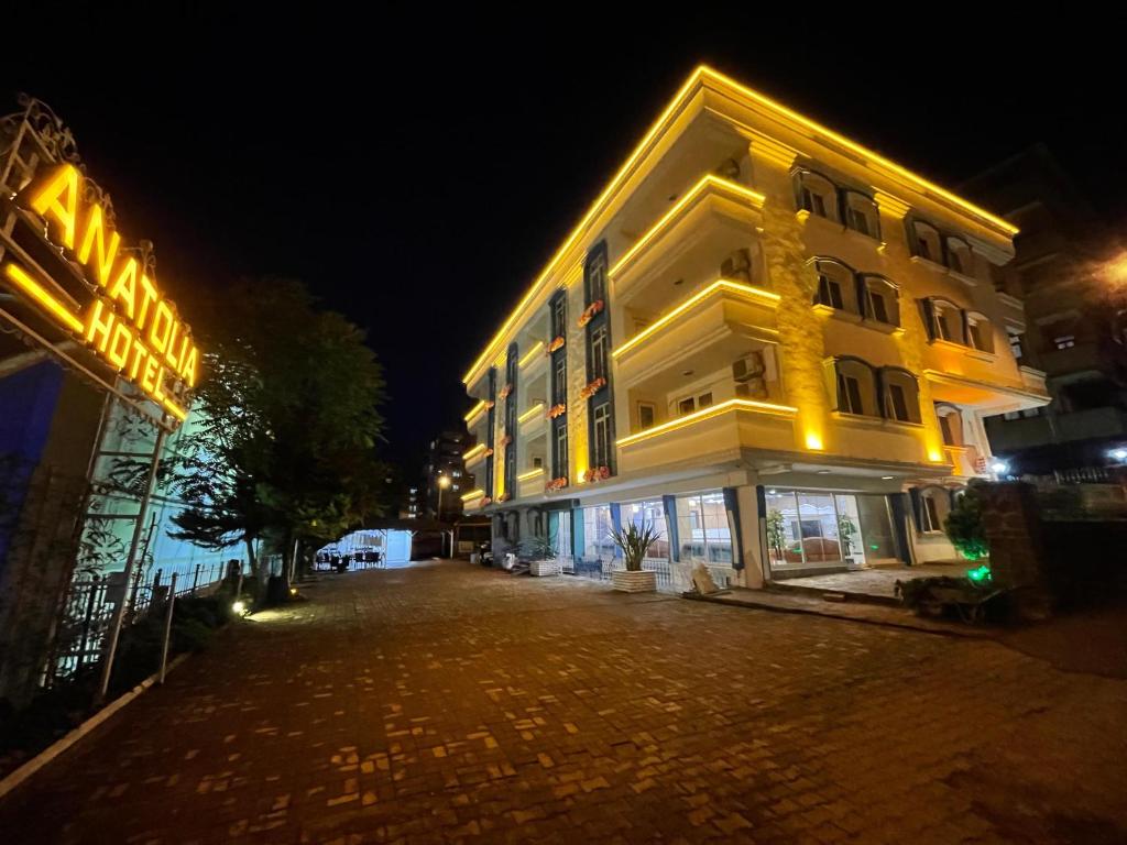 فضای داخلی Anatolia Hotel Airport در طرابزون - تصویر ۳