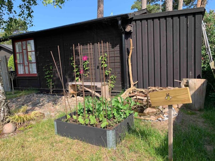Zahrada ubytování Kullahalvön nära Jonstorps hamn