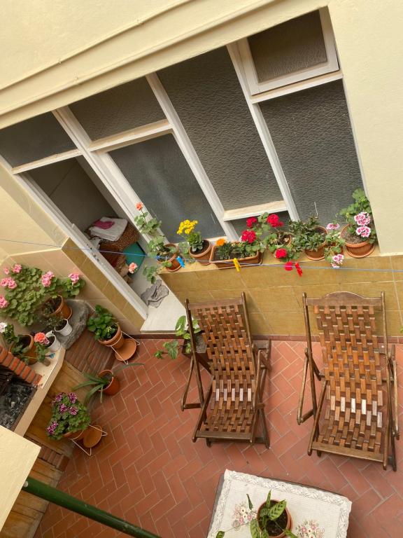 - une vue sur la terrasse dotée de chaises et de plantes en pot dans l'établissement La Negrita Host, à Sucre