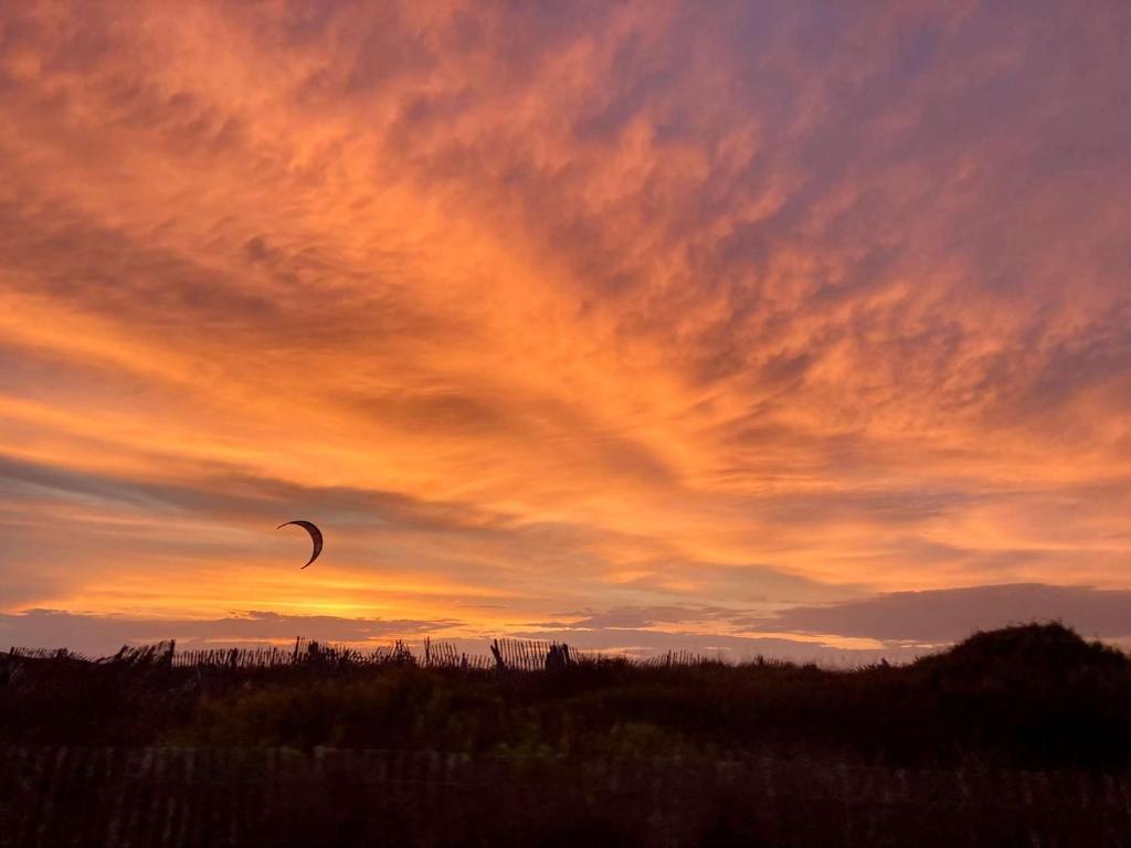 un cerf-volant dans le ciel au coucher du soleil dans l'établissement Le Cabanon, à Hyères