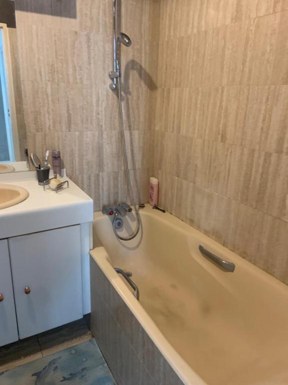 une salle de bain avec une baignoire et un lavabo dans l'établissement Duplex au calme, à Saint-Maur-des-Fossés