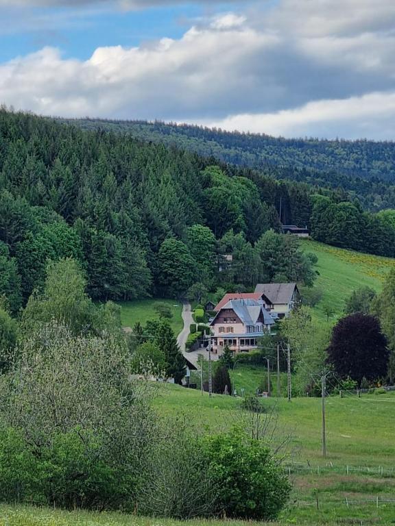 une maison au milieu d'un champ verdoyant dans l'établissement Auberge La Tête En L'Air, au Hohwald