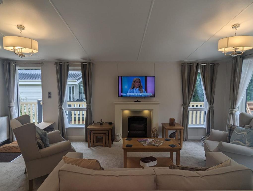a living room with a fireplace and a flat screen tv at LUXURY STUNNING SENSATION LODGE ON 5 STAR SHOREFIELD COUNTRY PARK New Forest ENTERTAINMENT AND LEISURE PASSES INCLUDED in Milford on Sea
