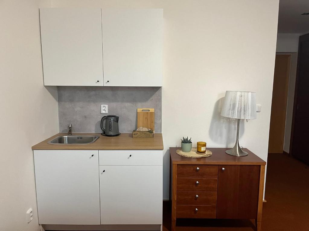 Kuchyň nebo kuchyňský kout v ubytování Simply rooms