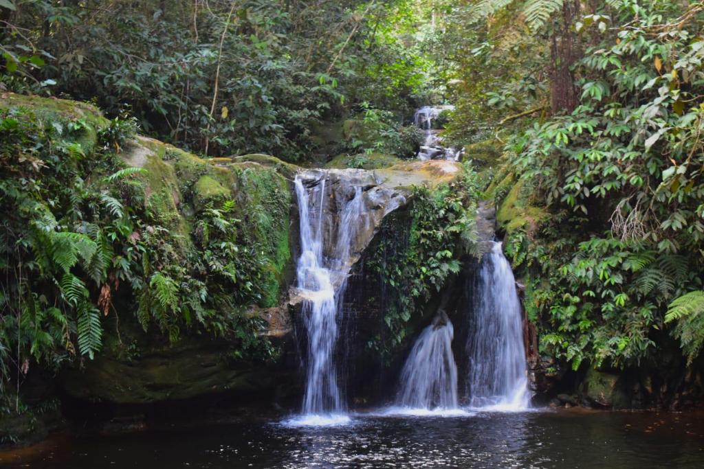 uma cascata no meio de uma selva em Shintuyahotsprings em Santa Rosa