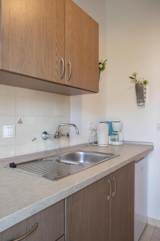 Kuchyň nebo kuchyňský kout v ubytování Manos Kritikakis Apartments