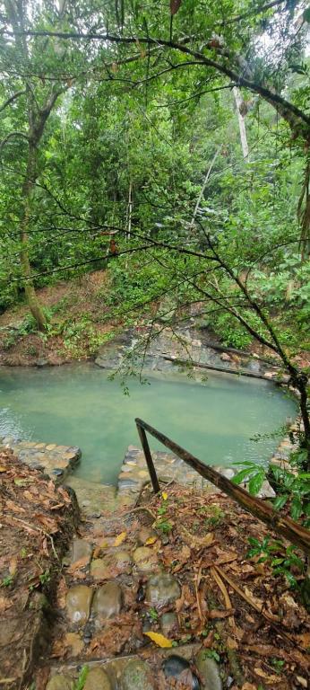 Příroda nedaleko penzionu – hostince