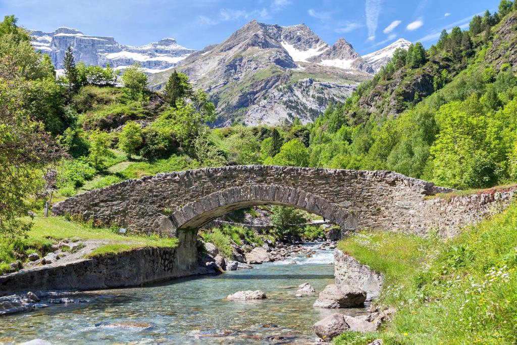 Príroda v okolí apartmánu