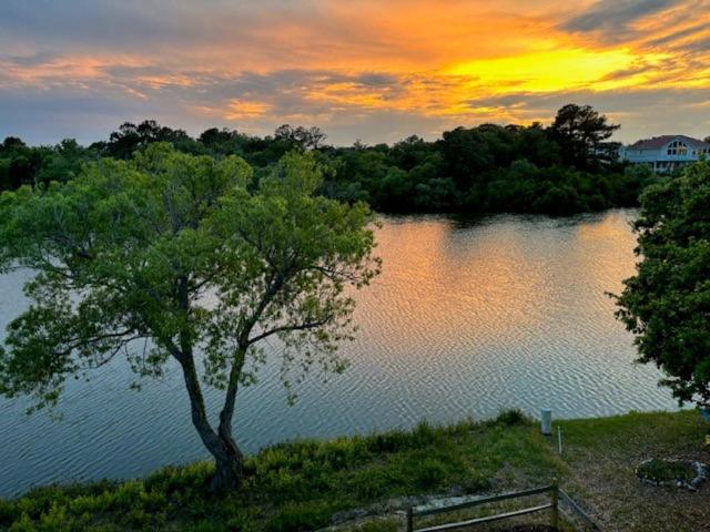 ein Baum vor einem See bei Sonnenuntergang in der Unterkunft Soundside, Hot Tub, Community Pool, Sound Views, VOH1248, Sunset Cottage in Corolla