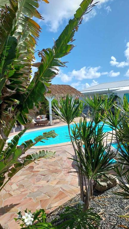Bazén v ubytování TIKO LODGE SXM nebo v jeho okolí