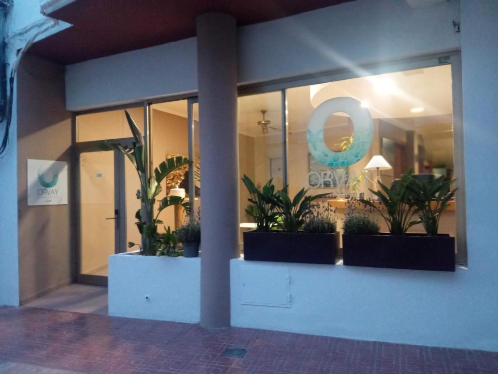 Fotografie z fotogalerie ubytování Apartamentos Orvay v destinaci San Antonio