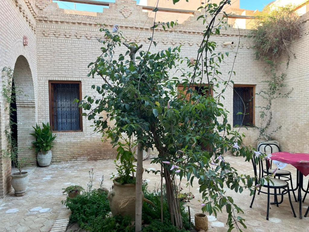 Zahrada ubytování Maison de Vacances "Dar Khalifa"