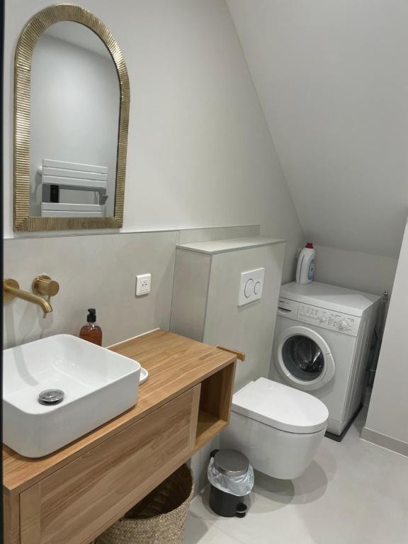 L'Adresse Studio Rempart sud - centre historique Eguisheim – photo 15