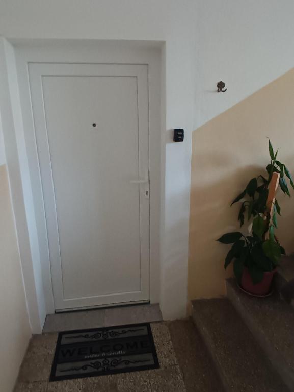 Fotografia z galérie ubytovania Apartment Fontana Felicita v destinácii Zadar