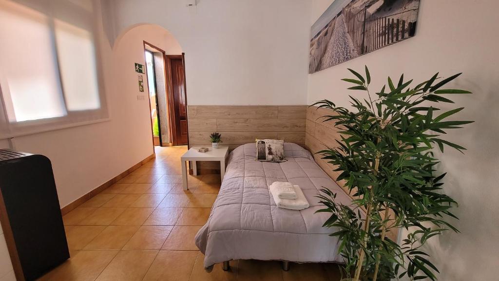 een kamer met een bed en een plant erin bij Casa África y Ramona in Redondela