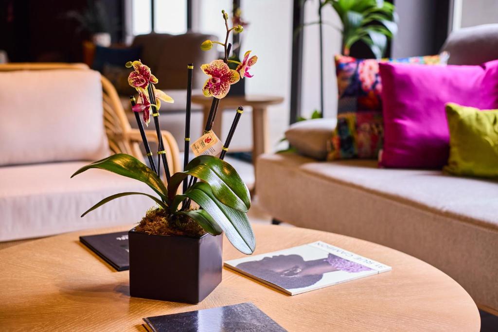 Posezení v ubytování Ola Boutique Hotel