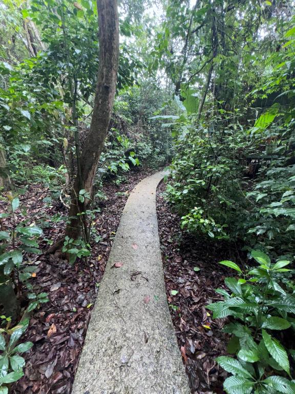 Tree House Bosque Nuboso Monteverde - シャレー