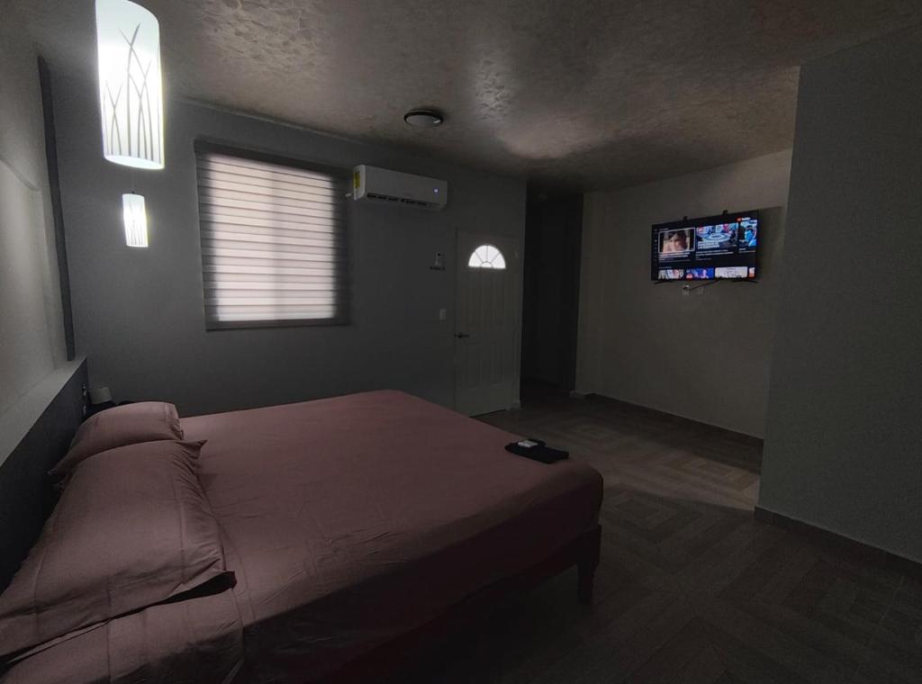 TV a/nebo společenská místnost v ubytování Hotel Blue Turtle
