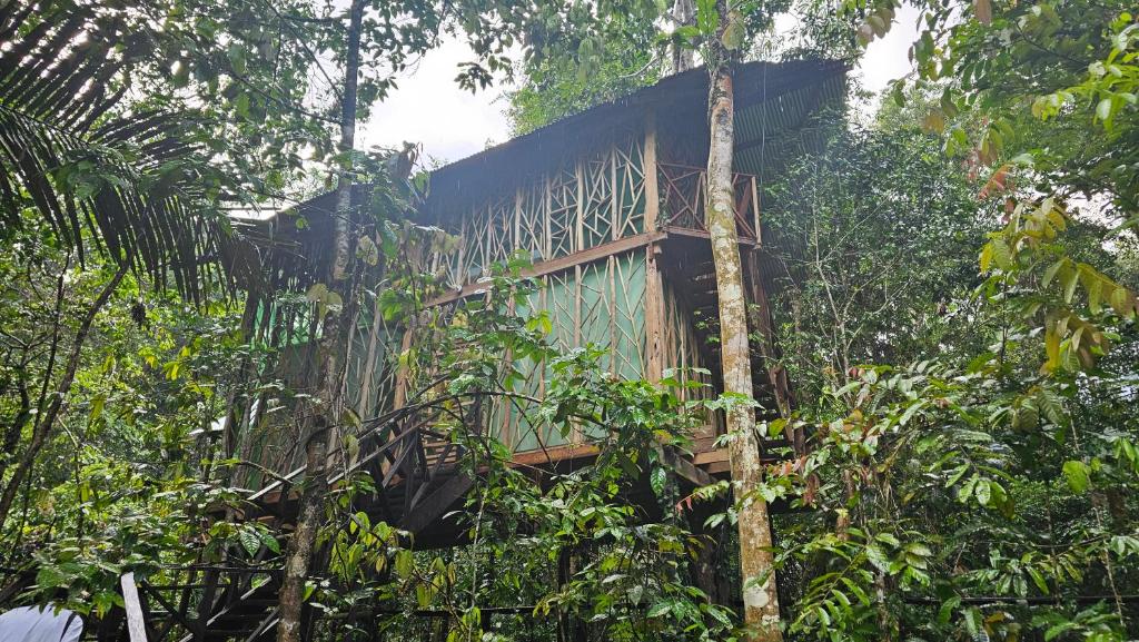 Zahrada ubytování Cabaña en el arbol del Tacana