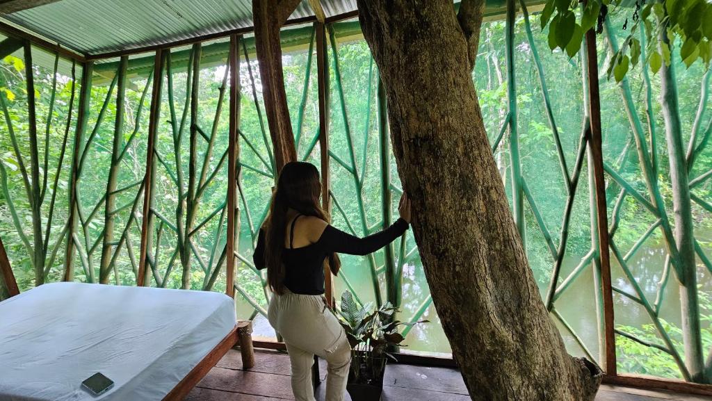 Zahrada ubytování Cabaña en el arbol del Tacana