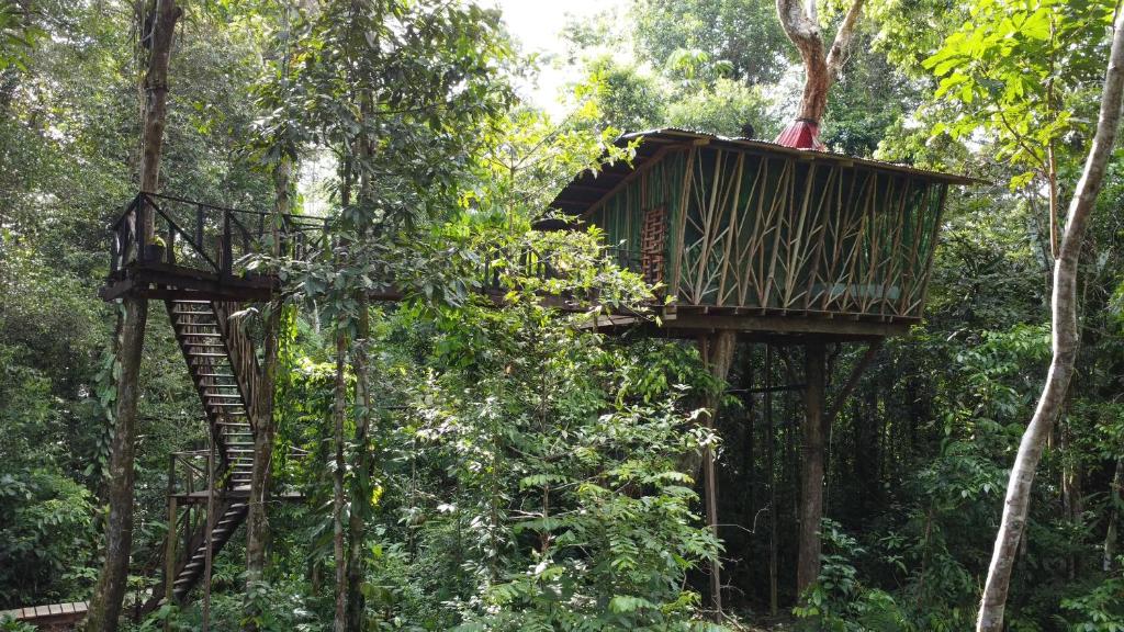 Zahrada ubytování Cabaña en el arbol del Tacana
