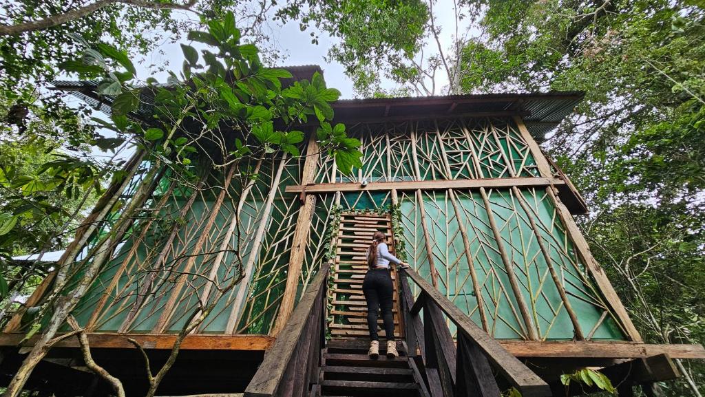 Fotografie z fotogalerie ubytování Cabaña en el arbol del Tacana v destinaci Leticia
