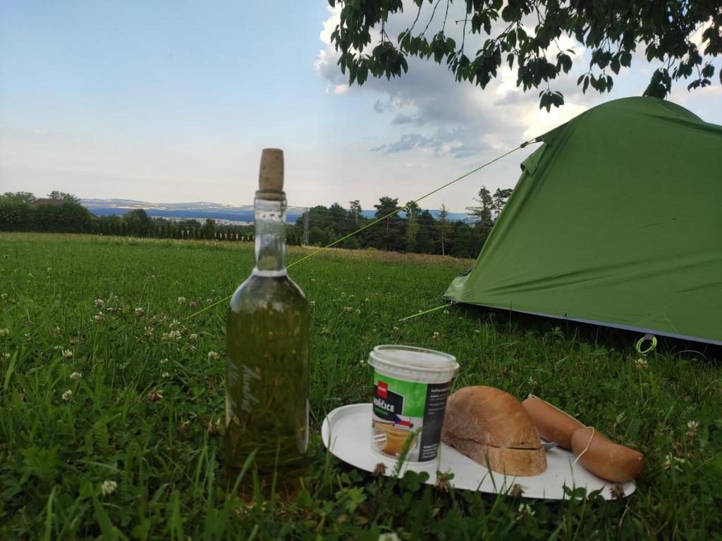 Priroda u blizini kampa