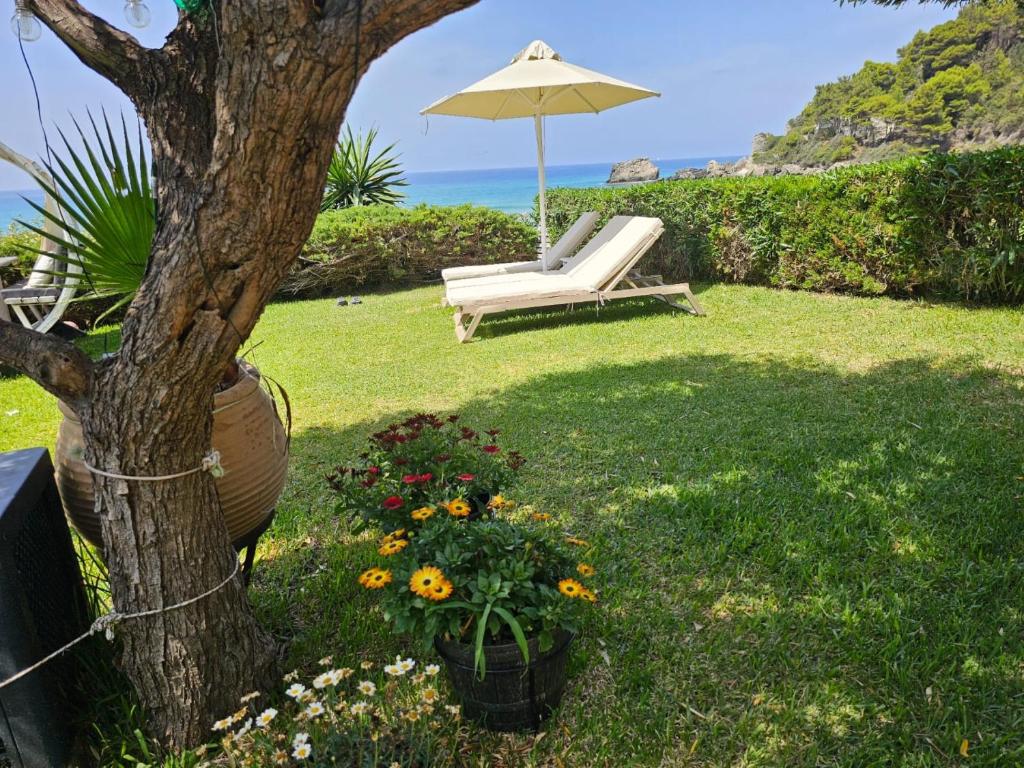 Ogród w obiekcie Beachfront House 13 ,Glyfada