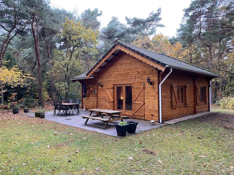 a wooden cabin with a picnic table and a picnic table at Vakantiehuis midden in het bos vlakbij de Efteling Natuurhuisje Loonse en Drunense duinen in Helvoirt