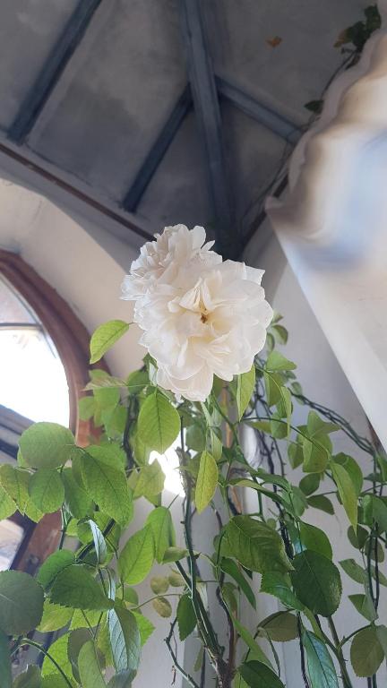 Derechos de imagen reservados por Booking.com